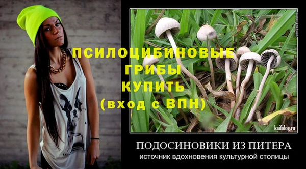 мескалин Переславль-Залесский